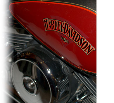 Harley Davidson on tank of Rental Heritage Softail